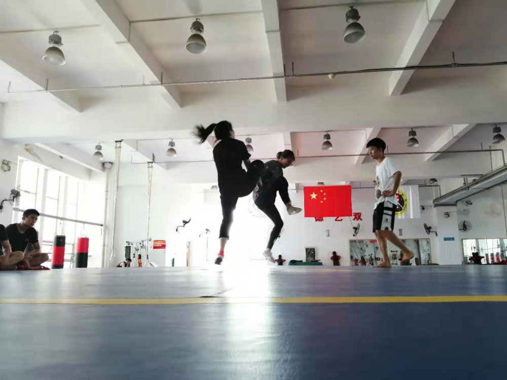 球速体育官方网站图片