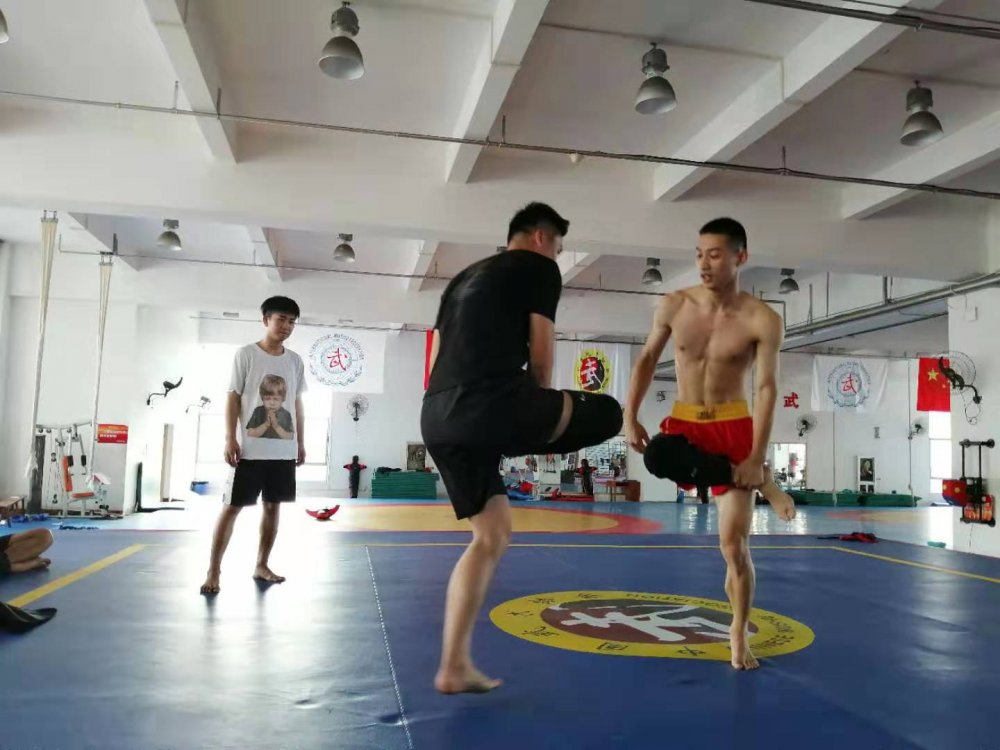 球速体育官方网站图片