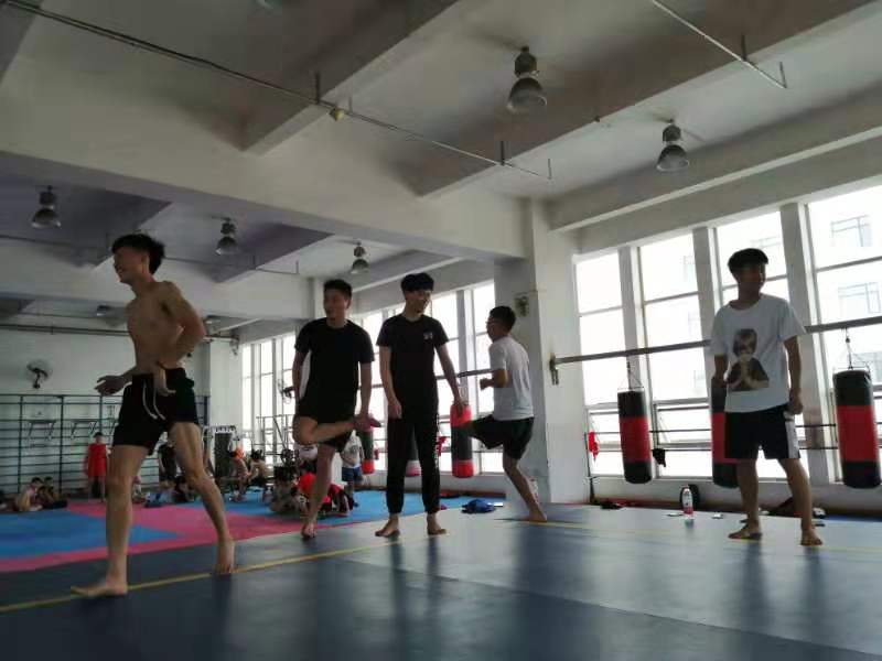 球速体育官方网站图片