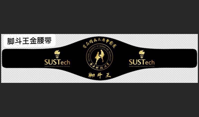 球速体育官方网站图片
