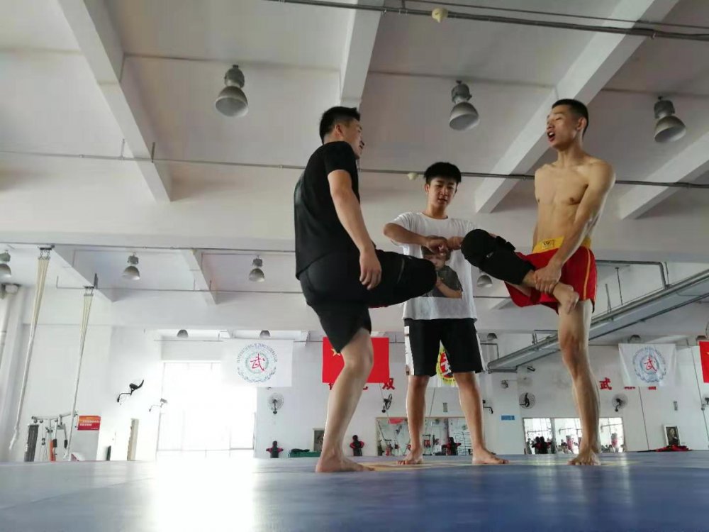 球速体育官方网站图片