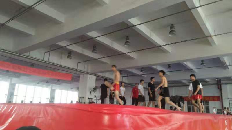 球速体育官方网站图片