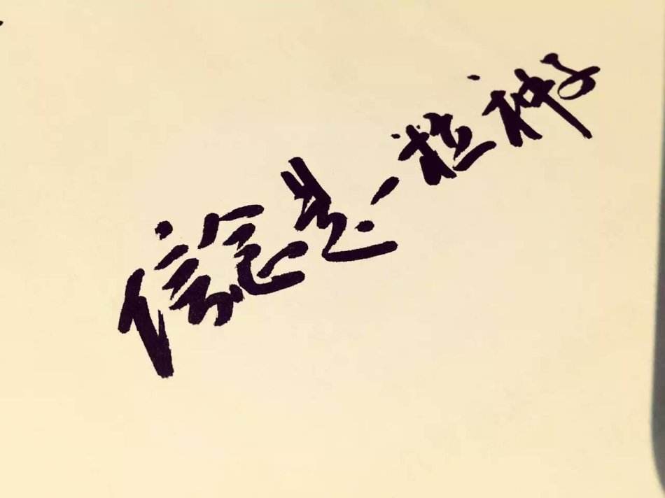 球速体育 bd200